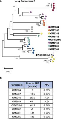 Characterizing the Relationship Between Neutralization Sensitivity and env Gene Diversity During ART Suppression